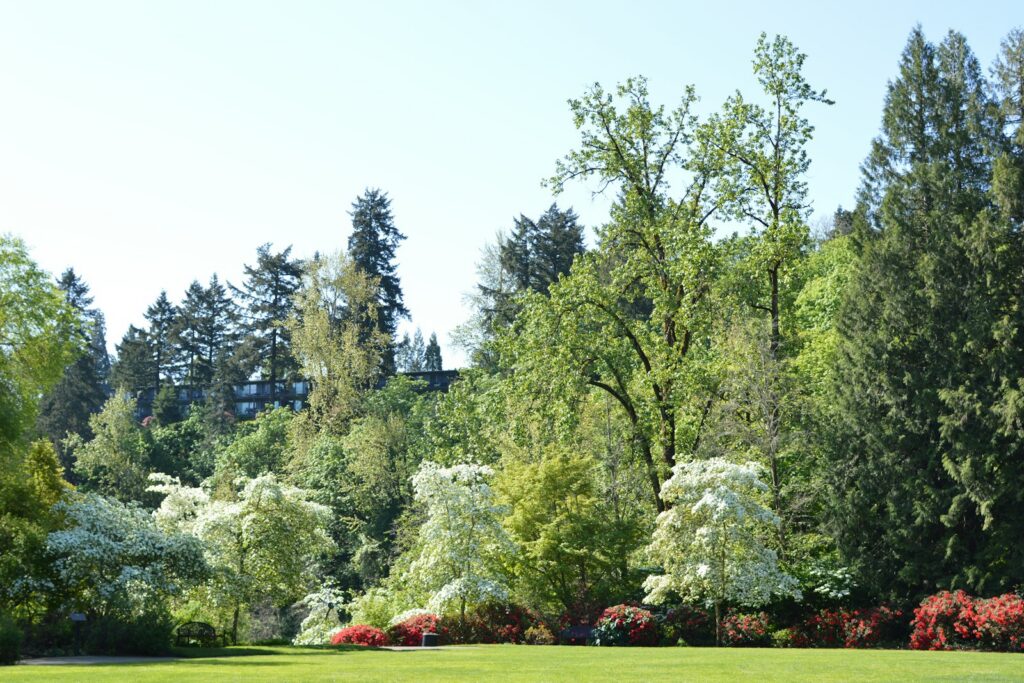Spring landscape of a championship golf course — Perfect.Live