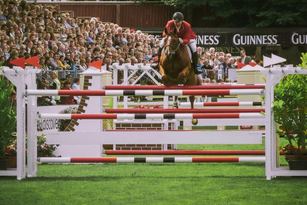 Horse and rider in a showjumping arena in front of a full grandstand