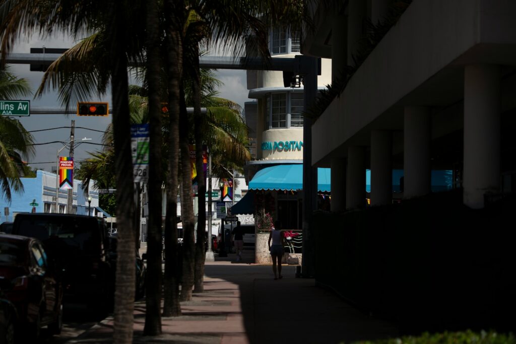 Palm-lined street near Collins Avenue, Miami — Perfect.Live