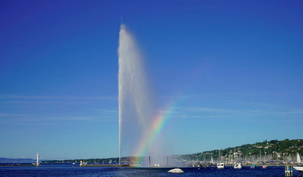 Best restaurants in Geneva — Perfect.Live