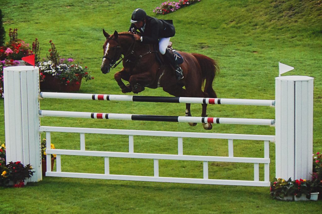 A horse and rider jumping a decorated fence in a show jumping arena