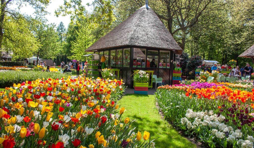 Show garden in full planting at the Chelsea Flower Show — Perfect.Live