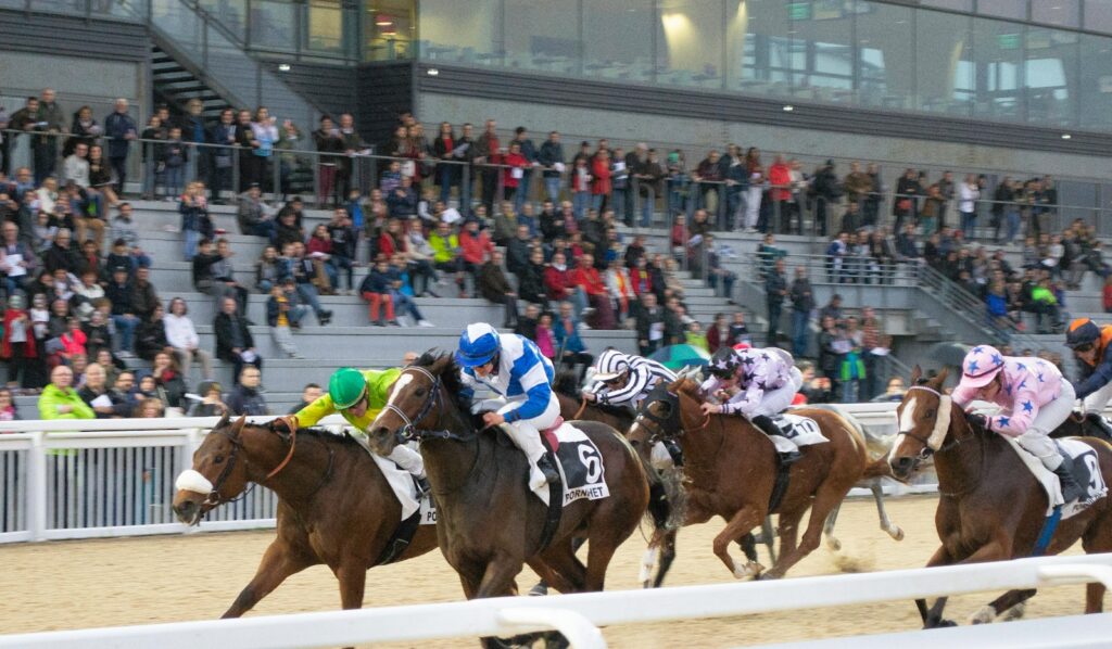Runners and crowd during a National Hunt festival meeting — Perfect.Live
