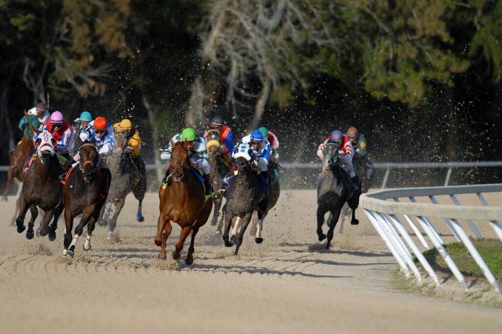 Jump racing in action during the festival — Perfect.Live