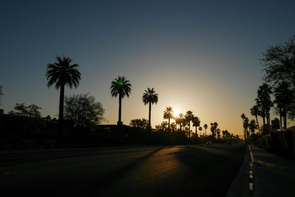 Palm-lined desert road through the Coachella Valley near Palm Springs at dusk