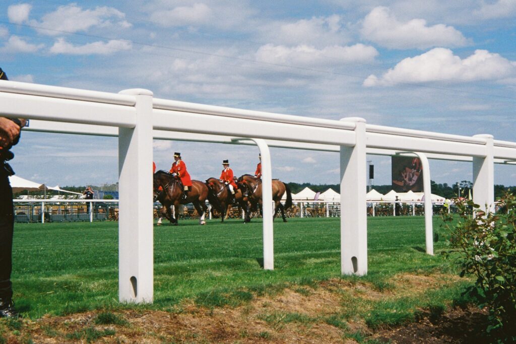 Horses and riders on the racecourse during the card — Perfect.Live