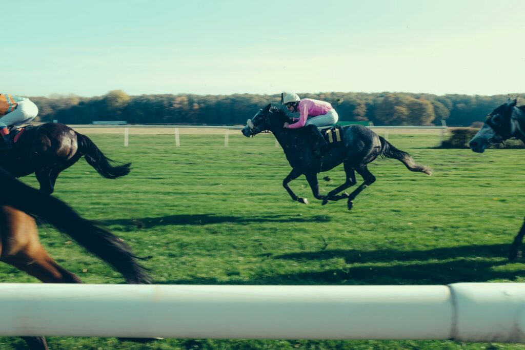 A racehorse and jockey clear of the field on a turf straight