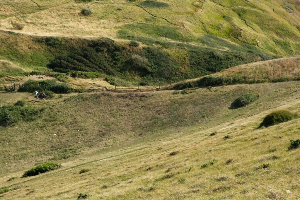 Rolling green hills of the South Downs in the English countryside