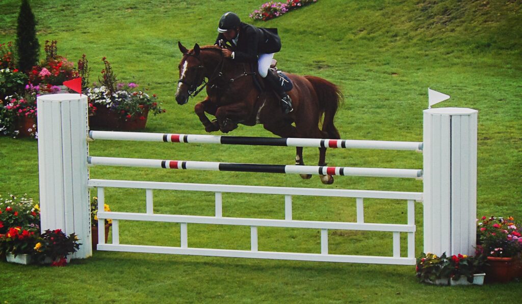 Horse clearing a fence during the Grand National at Aintree — Perfect.Live