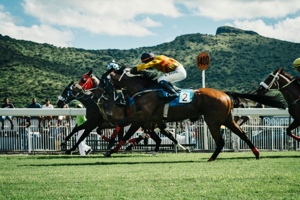 Jockey riding in a steeplechase — Perfect.Live
