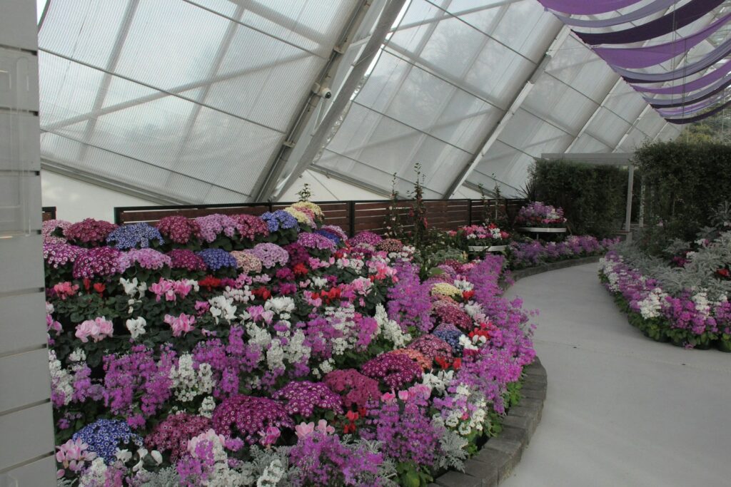 Flowers displayed under a show marquee at a garden festival