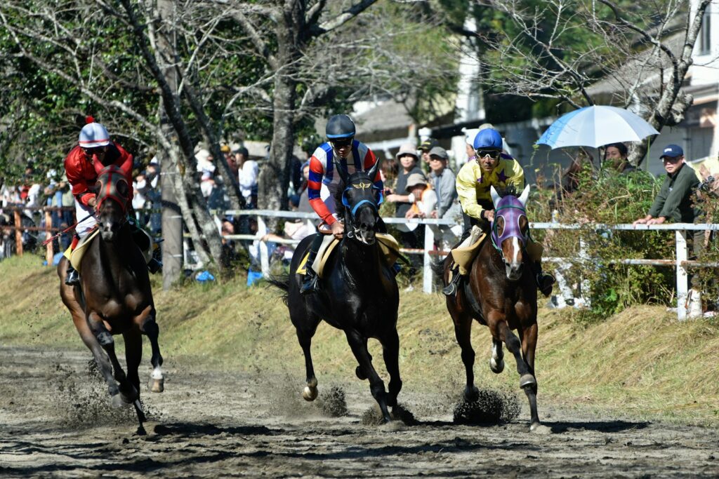 Three jockeys driving their horses down the home straight side by side