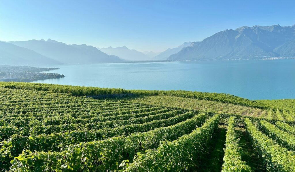 Michelin-star restaurants in Geneva — Perfect.Live