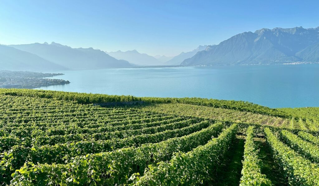 Michelin-star restaurants in Geneva — Perfect.Live