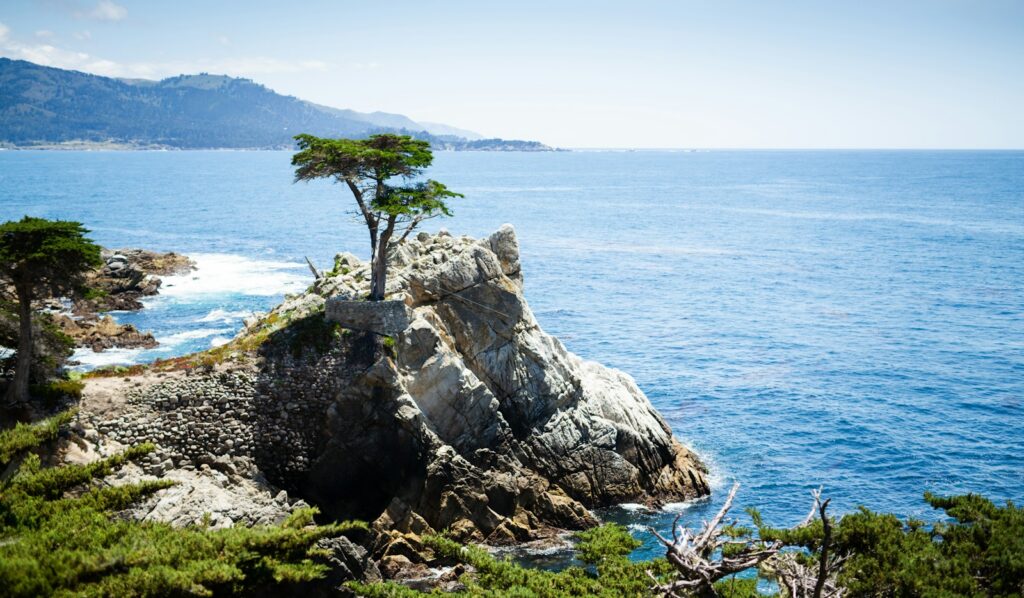 The Lone Cypress landmark near Pebble Beach on California’s Monterey Peninsula