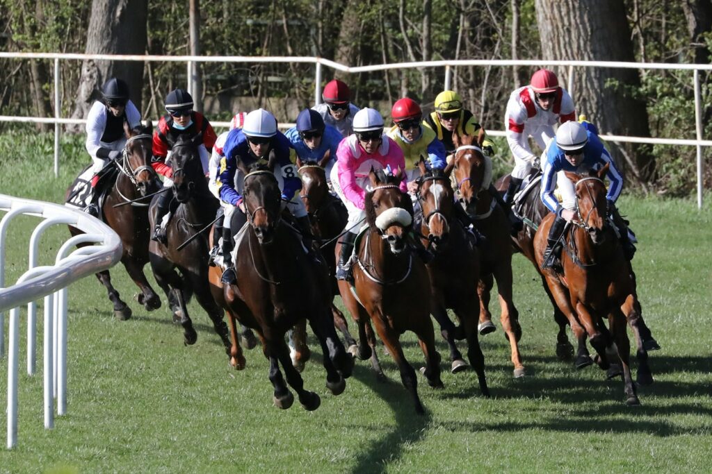 A field of horses racing at speed