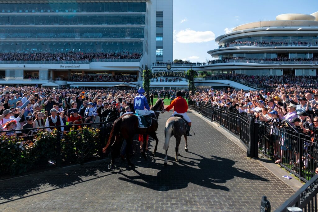 Crowd watching a race from the grandstand — Perfect.Live