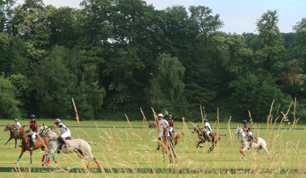Polo players on horseback during a match — Perfect.Live