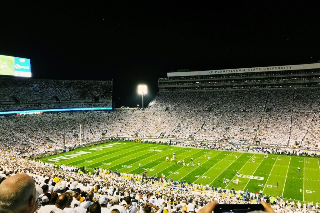 Crowd watching the game from the stands — Perfect.Live