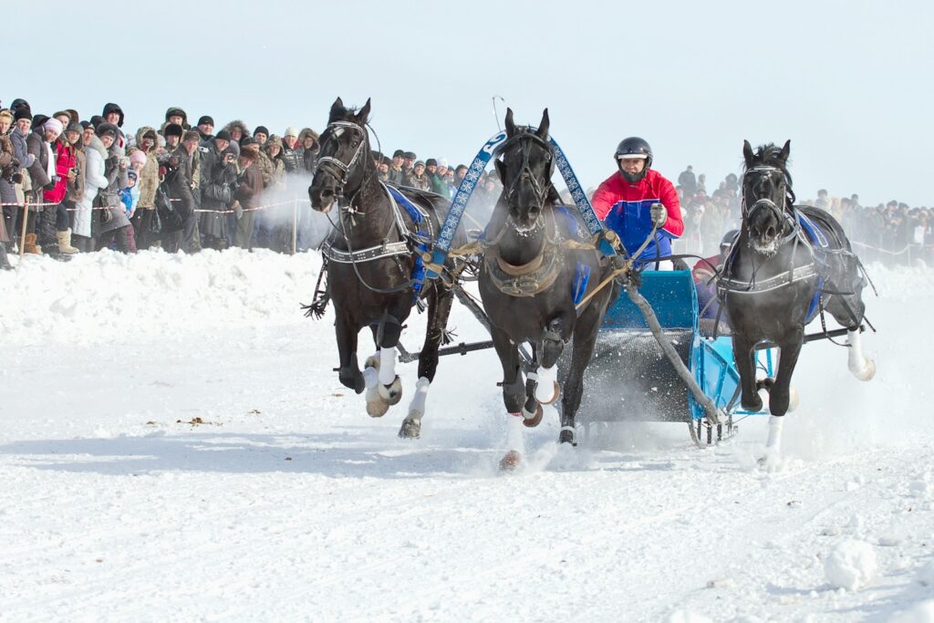 Trotting race on the snow at White Turf St Moritz, drivers in sulkies behind pairs of horses