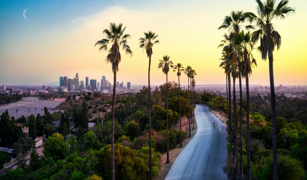 Best restaurants in Los Angeles: a palm-lined hill road at dusk leading to the city skyline
