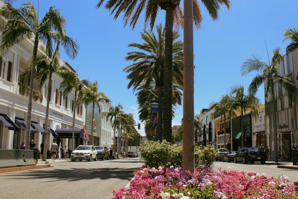 Palm trees and flower beds along a Beverly Hills avenue lined with boutiques