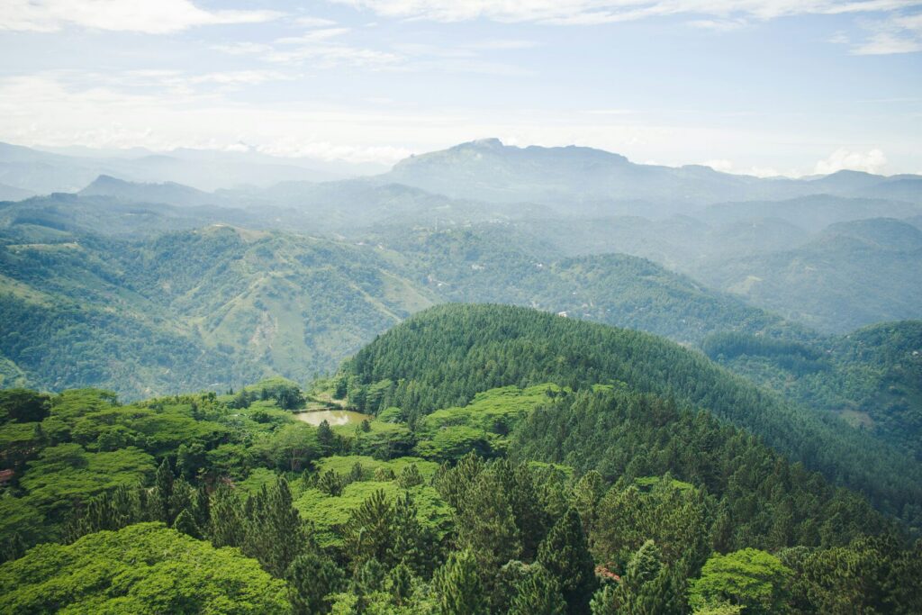 Green forested hills and misty mountains in the Sri Lankan highlands