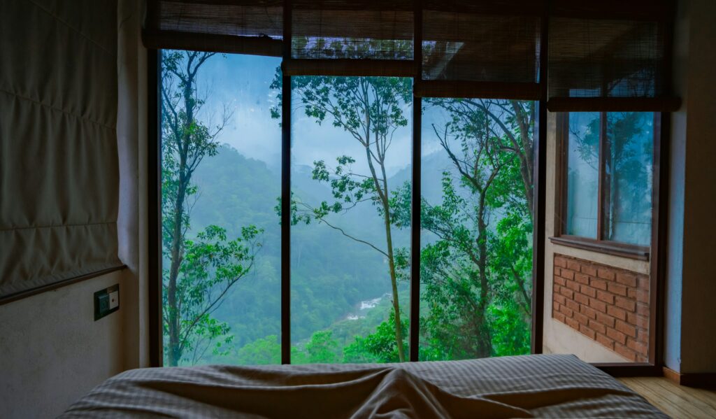 Detox retreat: a quiet wellness suite with a bed and a window onto misty green woodland