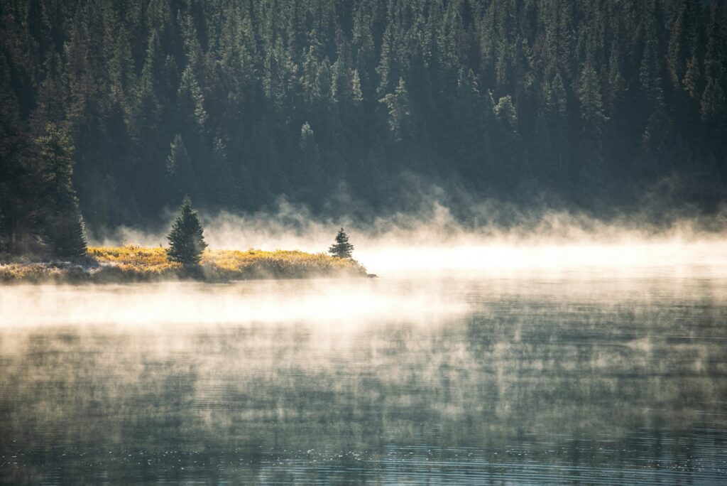 Mist rising from a still mountain lake edged by dark evergreen forest