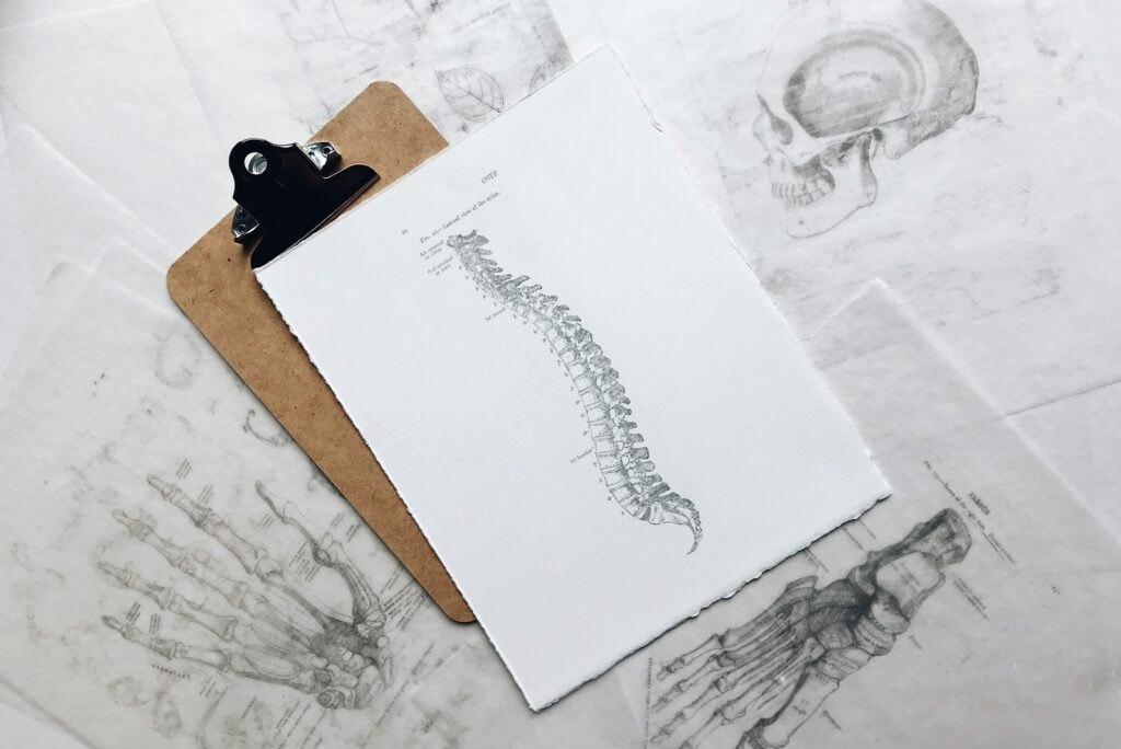 A clipboard holding an anatomical drawing of the spine, surrounded by sketches of bones