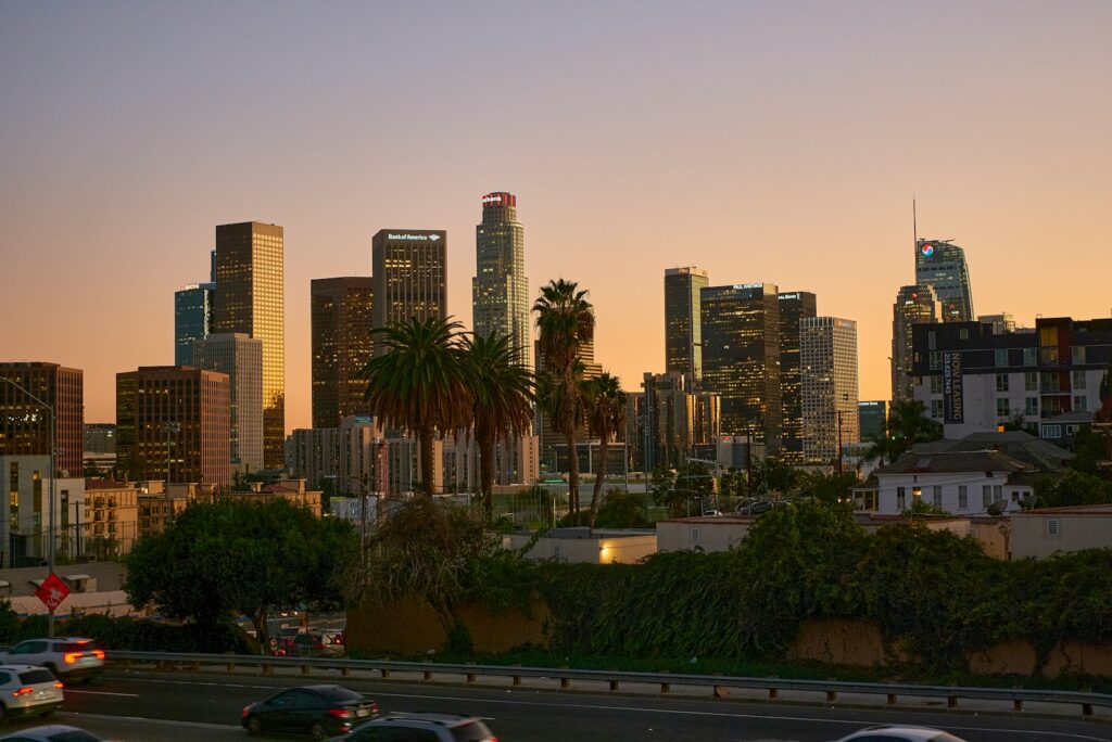 Downtown Los Angeles skyline and palm trees at sunset