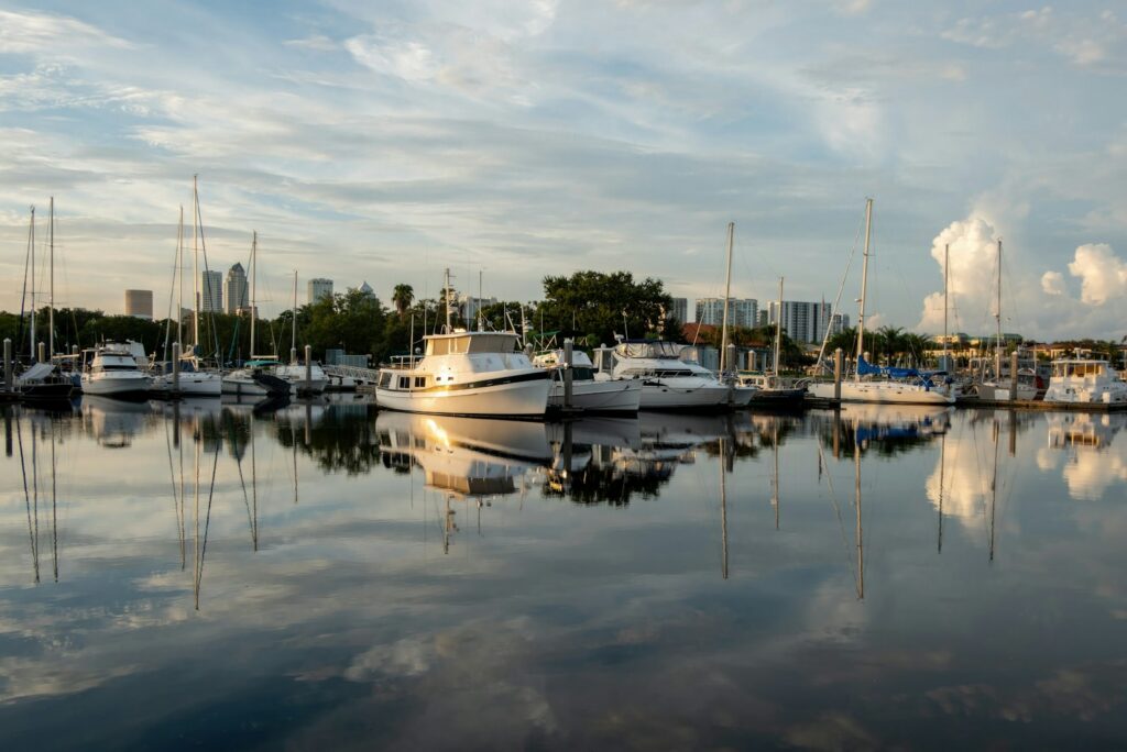 Sailboats and yachts docked in a harbour with a city skyline beyond