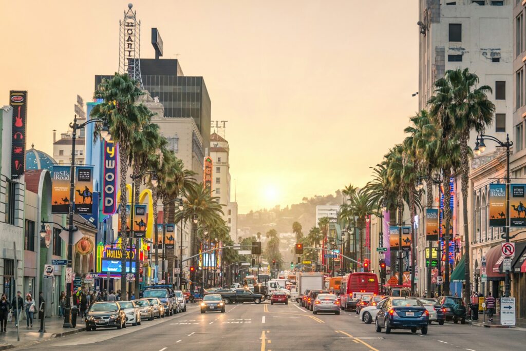 Palm trees and neon signs along a Los Angeles boulevard at sunset