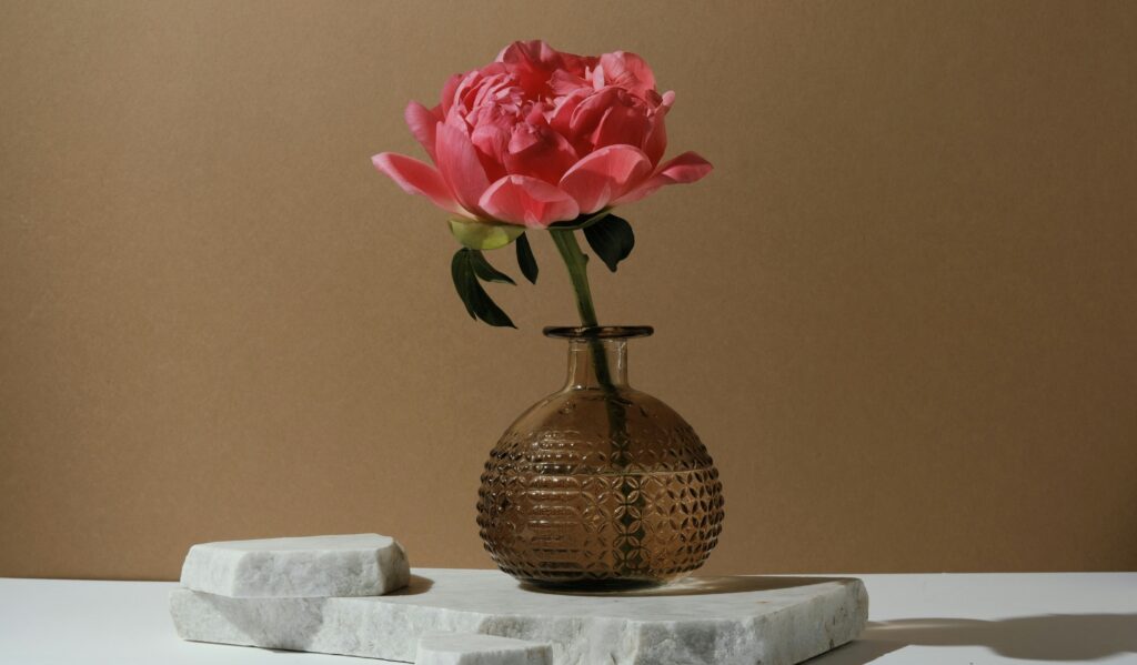 A single coral peony in a glass vase on white marble slabs against a warm neutral backdrop.