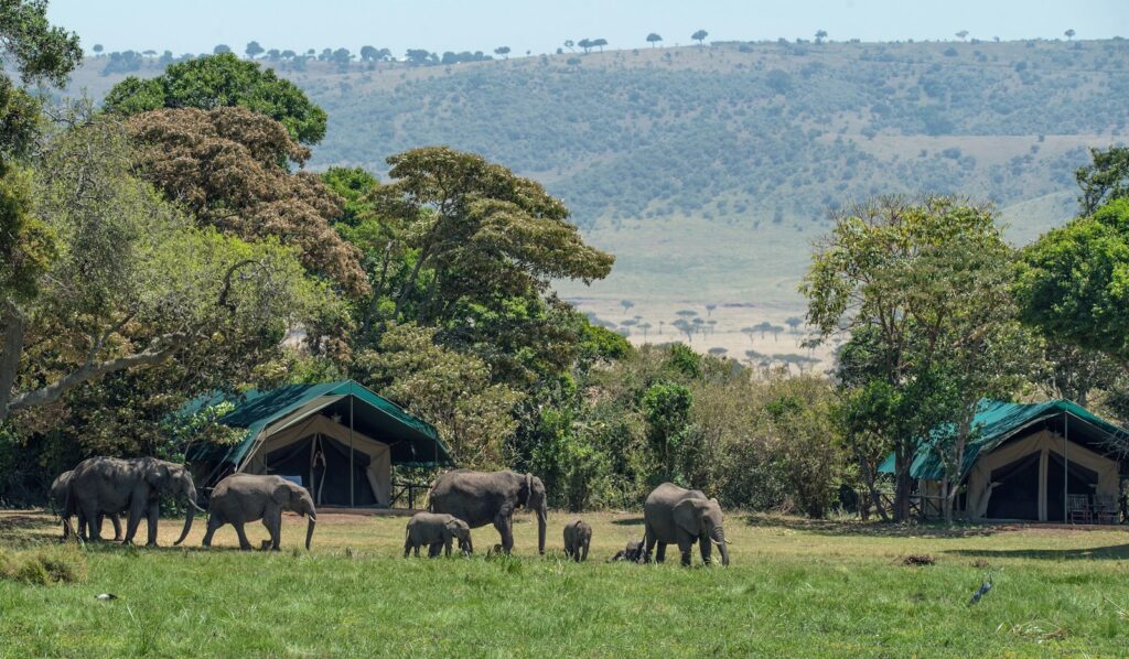 Luxury safari experiences — a tented camp at dusk overlooking a savannah waterhole