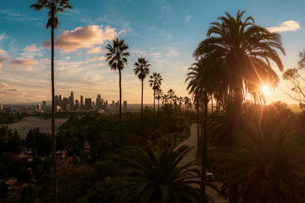Tall palms and the Los Angeles skyline at sunset, seen from a hill above the city.