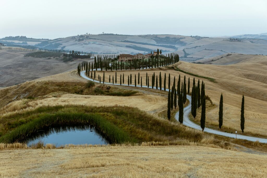 Cypress-lined road winding through golden Tuscan hills beside a small pond
