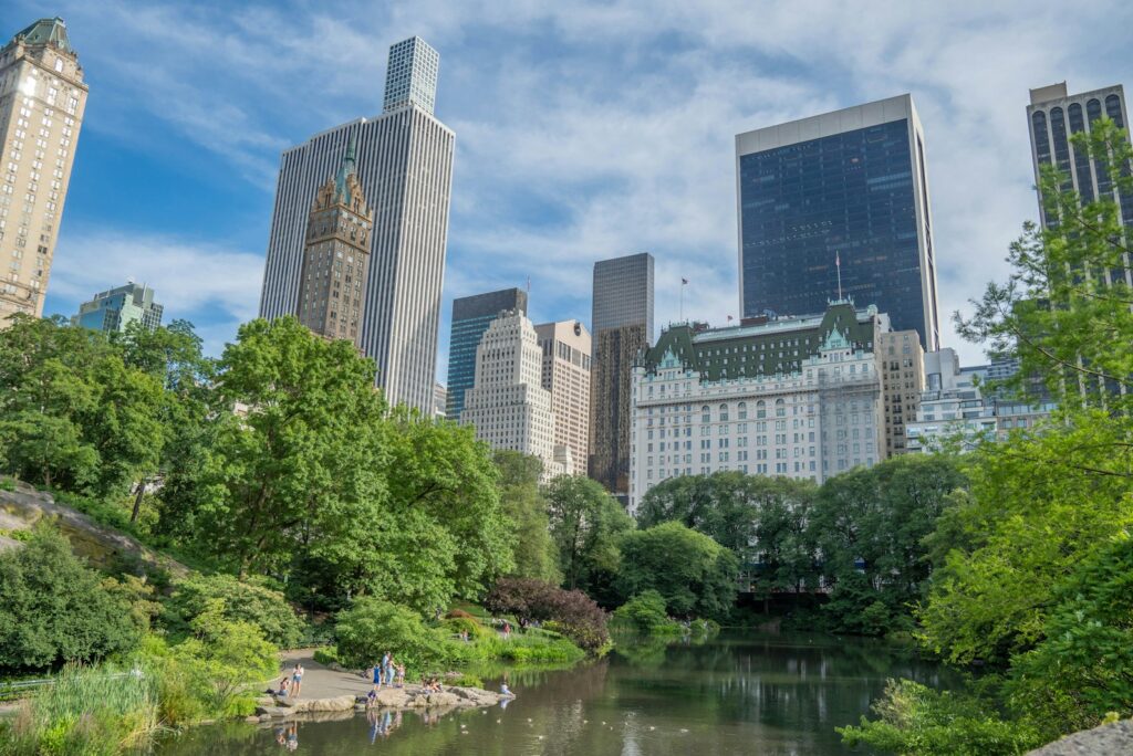 The Plaza hotel rising above the trees of Central Park in New York