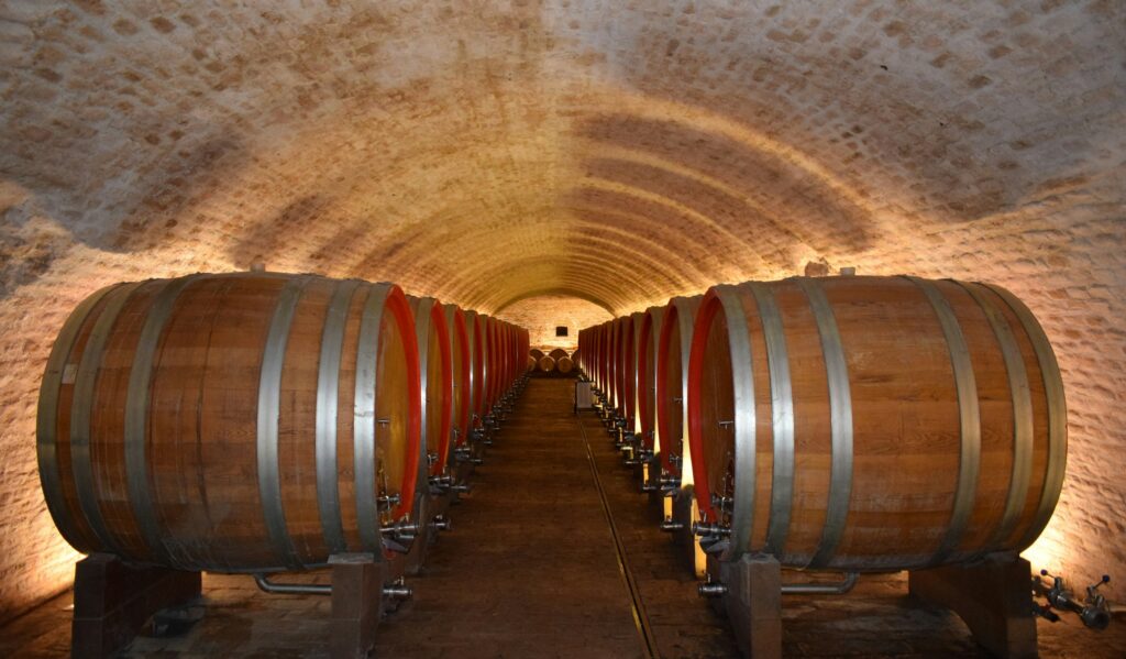 Private wine tasting setting — oak barrels in a vaulted estate cellar