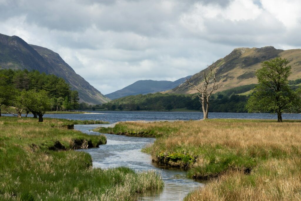 A stream winding through reeds to a lake in the Lake District, with fells beyond