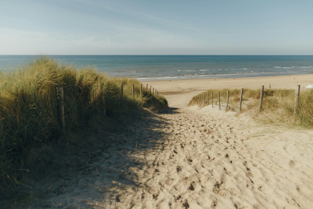 Sandy path through the dunes to the North Sea beach at Zandvoort